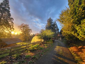 Room for rent in Issaquah, Washington $800, house